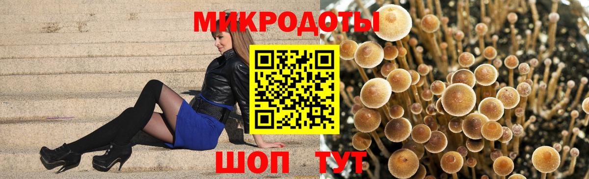 Богородицк  Псилоцибиновые грибы Magic Shrooms  Вход с VPN 